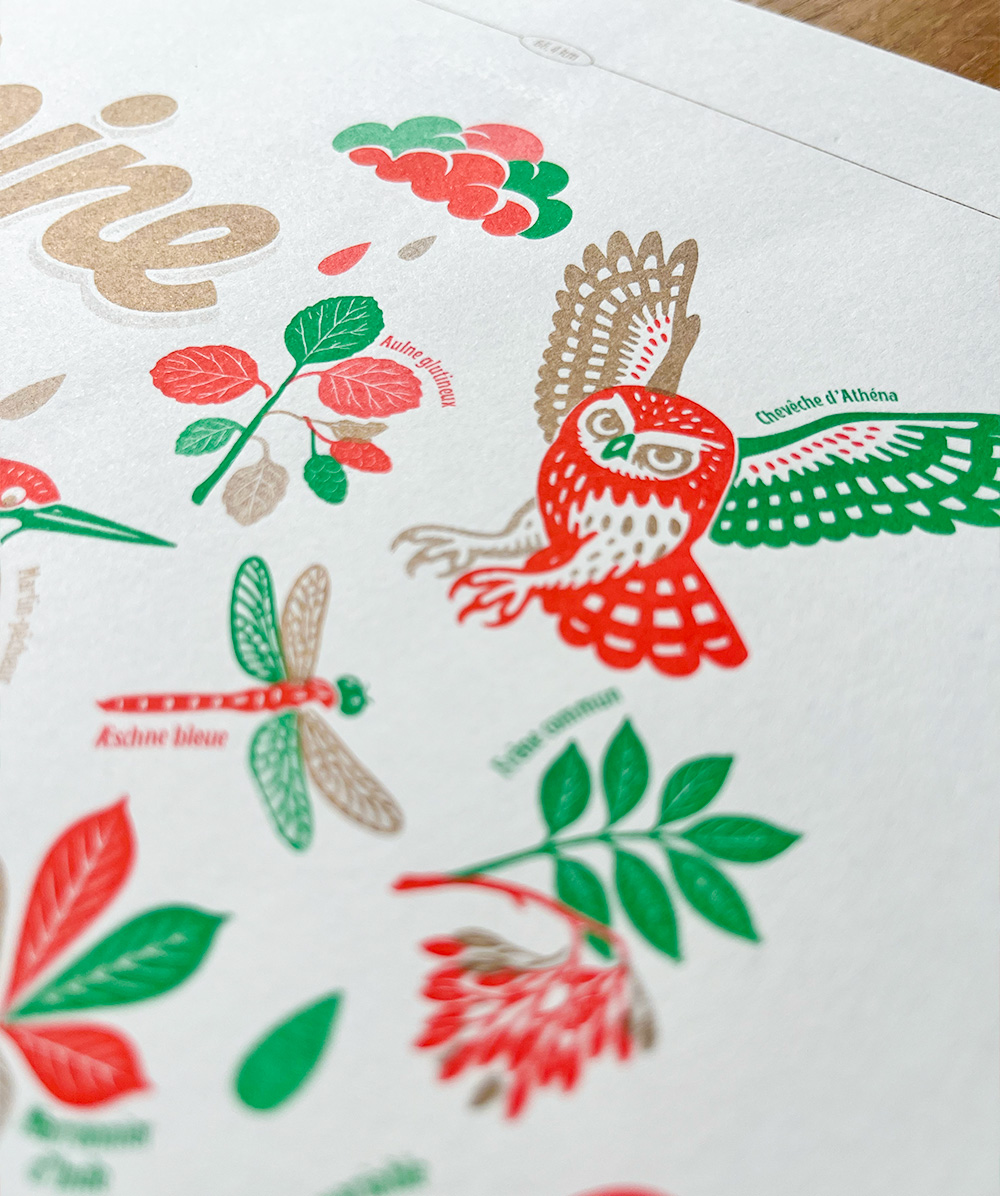 Affiche Maine Risographie