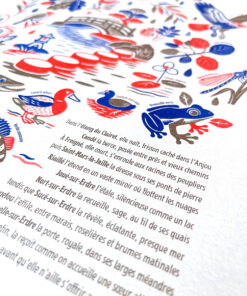 Affiche Erdre Risographie