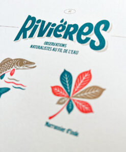 Affiche Rivières Risographie
