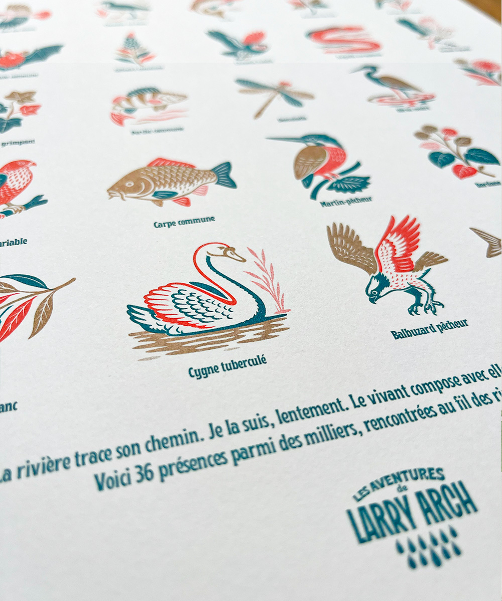 Affiche Rivières Risographie