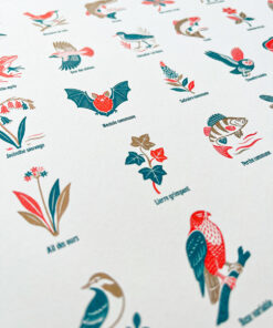 Affiche Rivières Risographie