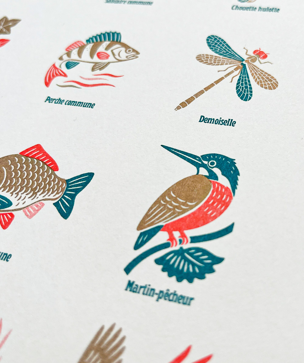 Affiche Rivières Risographie