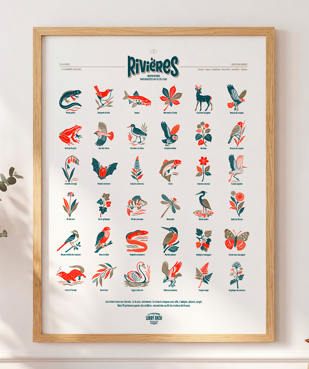 Affiche Rivières Risographie