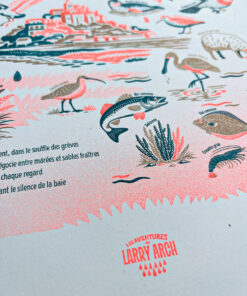 affiche-Mont Saint-Michel-naturaliste-risographie-decoration