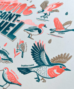 affiche-Mont Saint-Michel-naturaliste-risographie-decoration