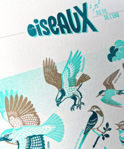 affiche-Oiseaux-naturaliste-risographie-decoration