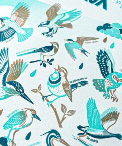 affiche-Oiseaux-naturaliste-risographie-decoration