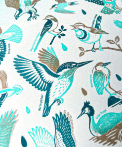 affiche-Oiseaux-naturaliste-risographie-decoration