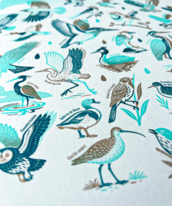 affiche-Oiseaux-naturaliste-risographie-decoration