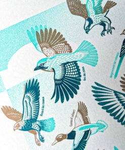 affiche-Oiseaux-naturaliste-risographie-decoration