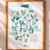 affiche-Oiseaux-naturaliste-risographie-decoration