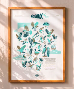 affiche-Oiseaux-naturaliste-risographie-decoration